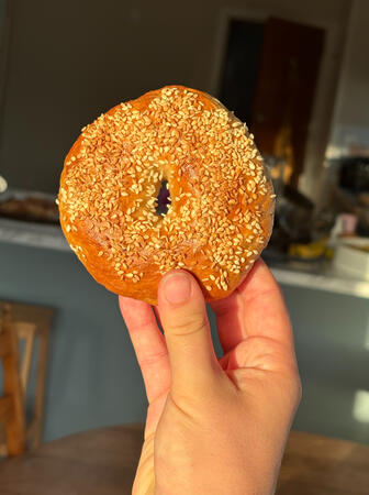 Sesame